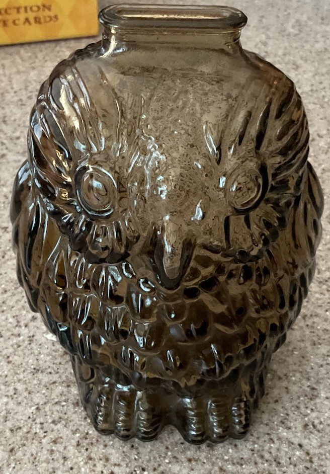Vintage Glass Wise Old Owl Bank Clear Embossed Piggy Bank Retro