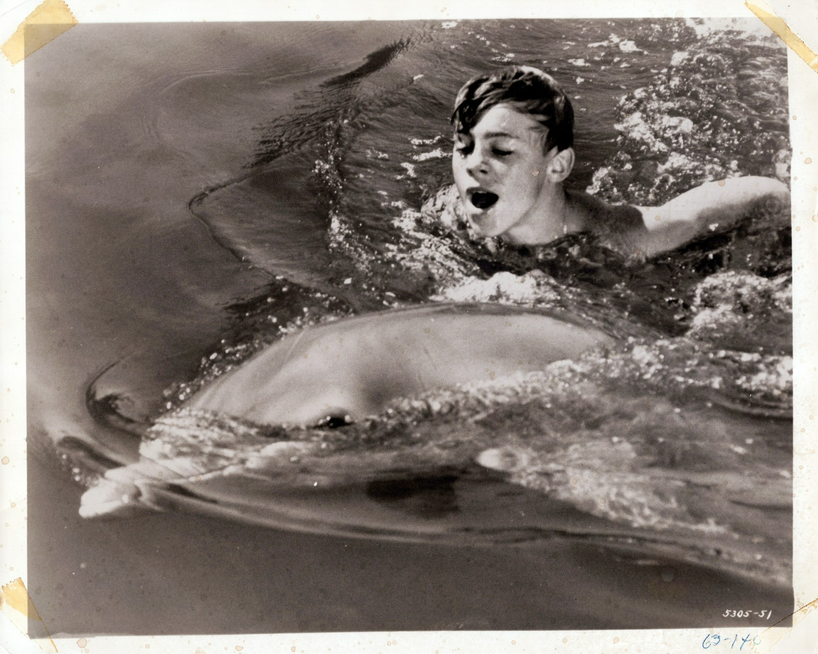 Luke Halpin 8x10 Photo Flipper 1963 Movie Dolphin Swimming MGM Publicity Still