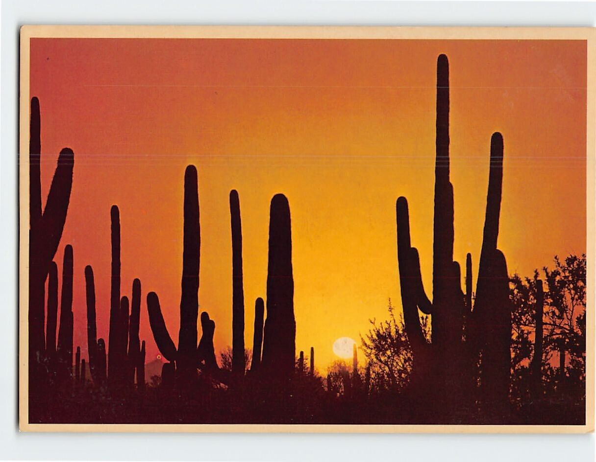 Postcard An Arizona Sunset, Arizona