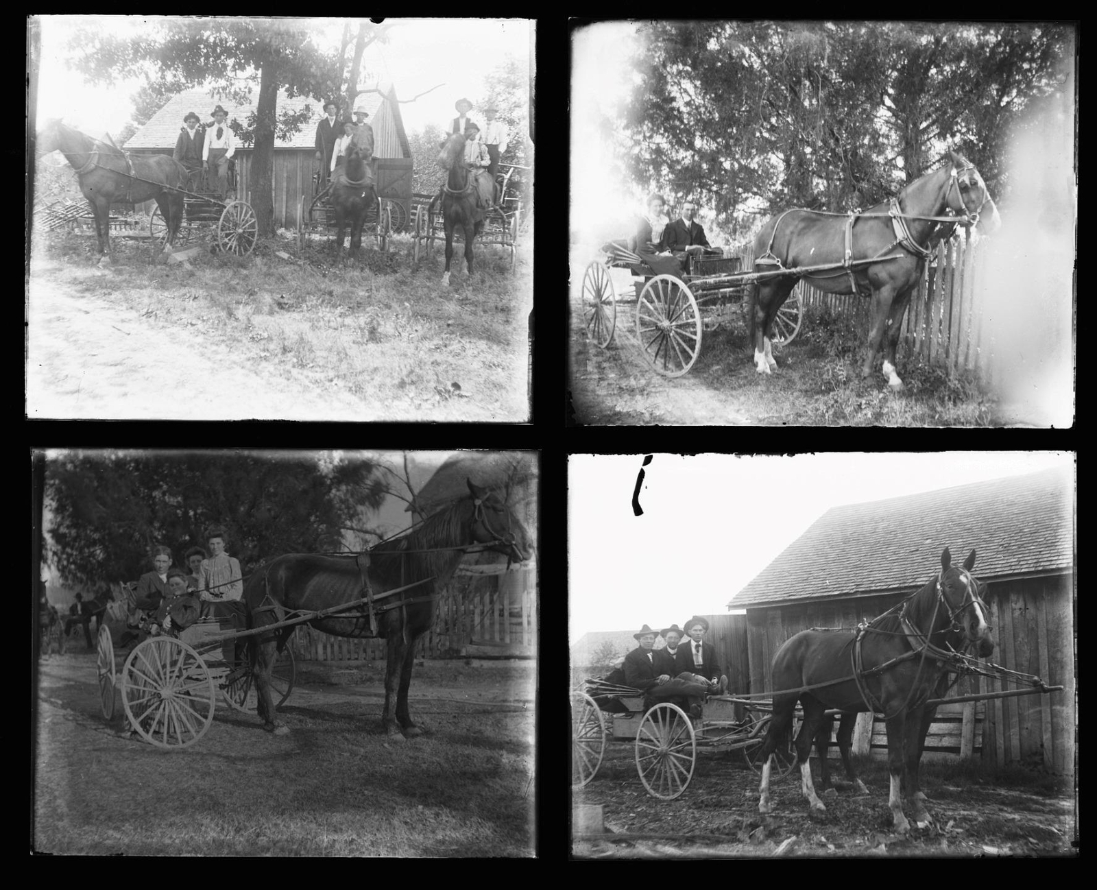 (8x) c. 1910's Horse & Carriage Glass Plate Negatives
