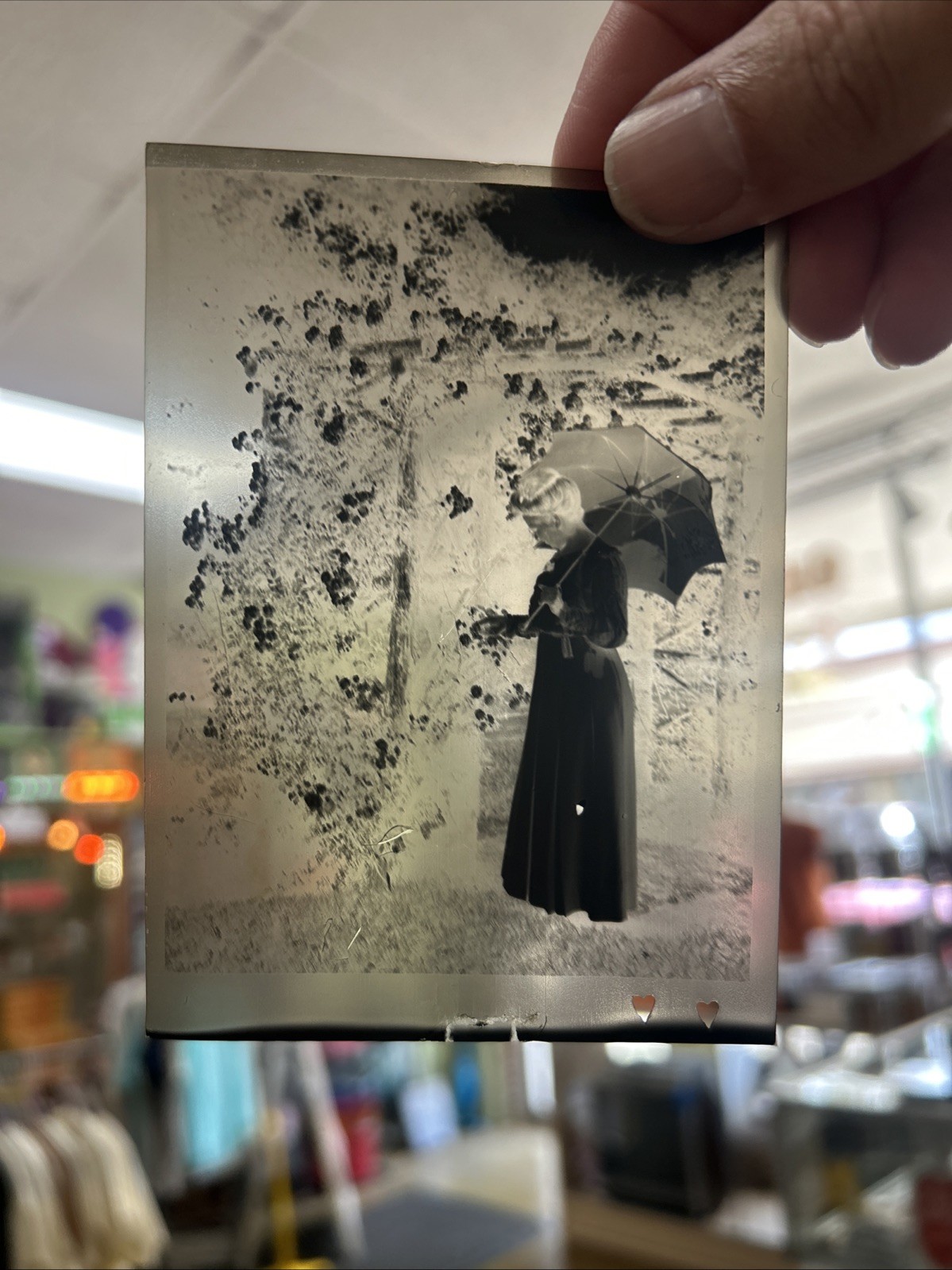 Antique Lot of Early 1900’s Family Camping /House Cellulose Negatives Approx 77