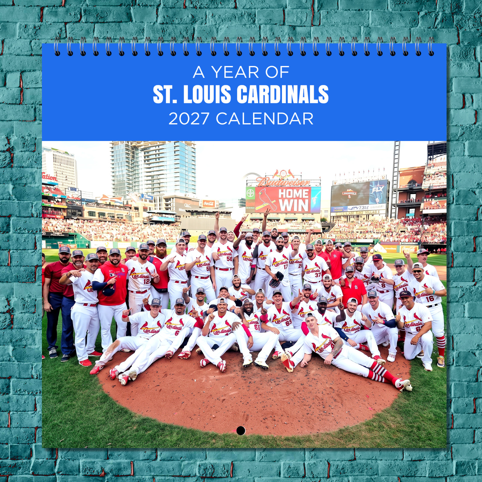 St. Louis Cardinals 2027 Wall Calendar 12 Month Celebrity Photo Fan Collectible