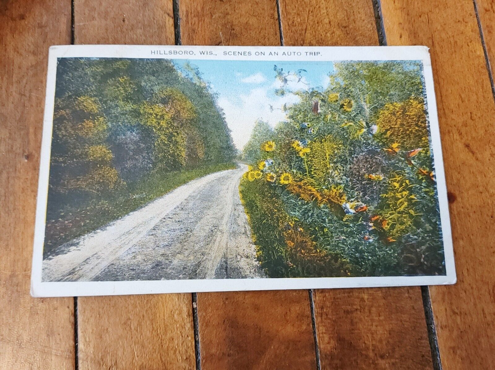 Vintage 1923 Wisconsin Postcard Hillsboro Scenes on an Auto Trip