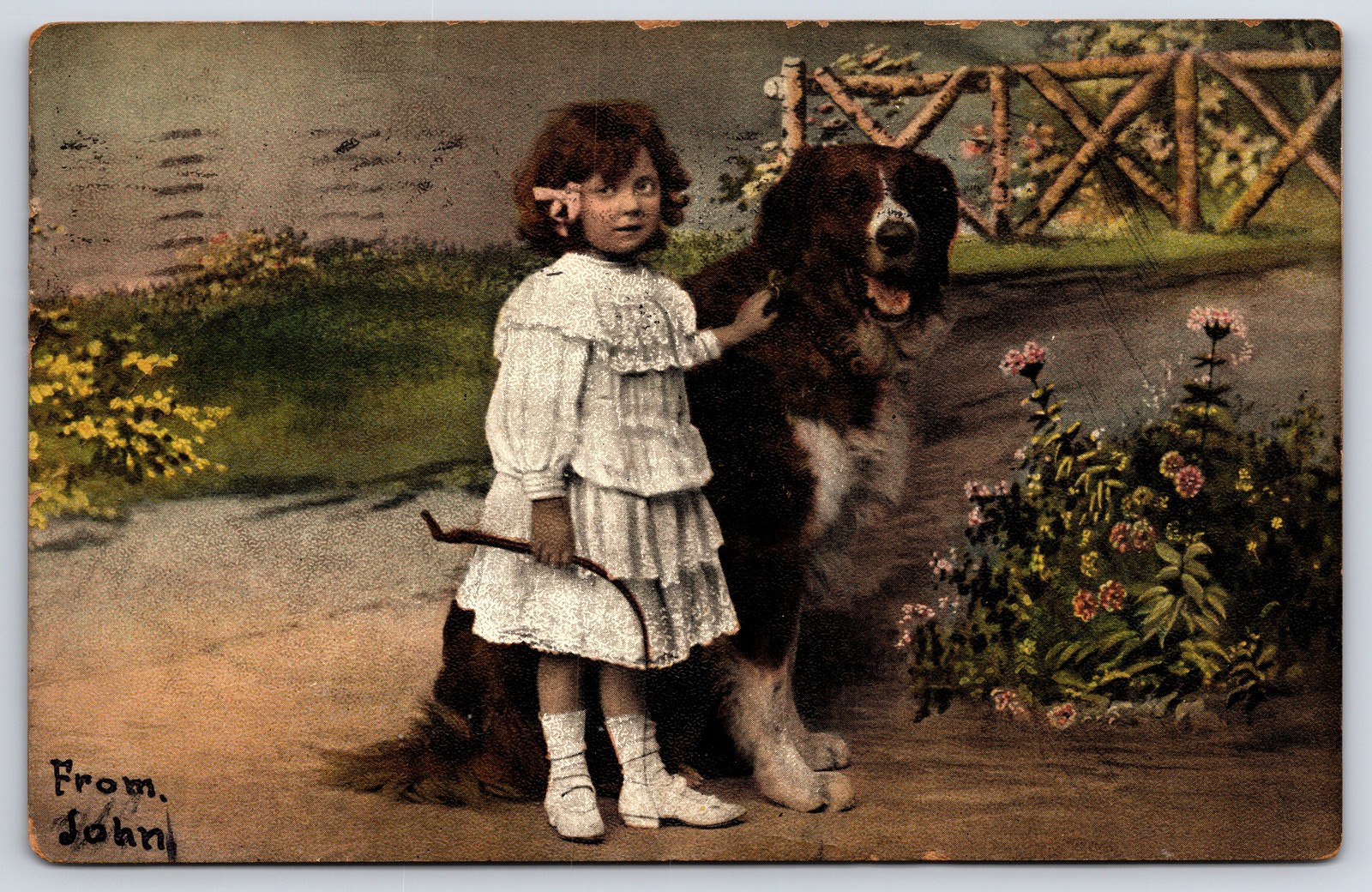 Antique 1907 Postcard Girl With Large Dog Garden Brooklyn NY Antique 1907 Postcard Girl With Large Dog Garden Brooklyn NY