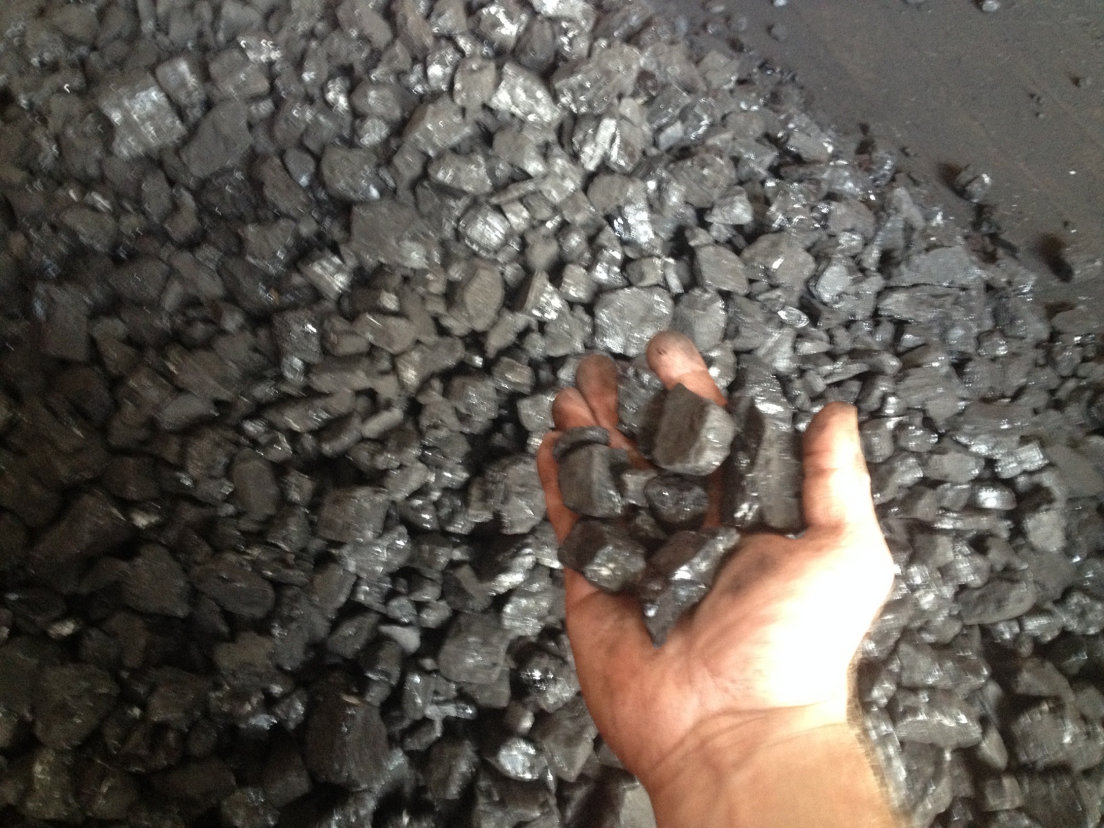 Blacksmith Coal 100lbs.