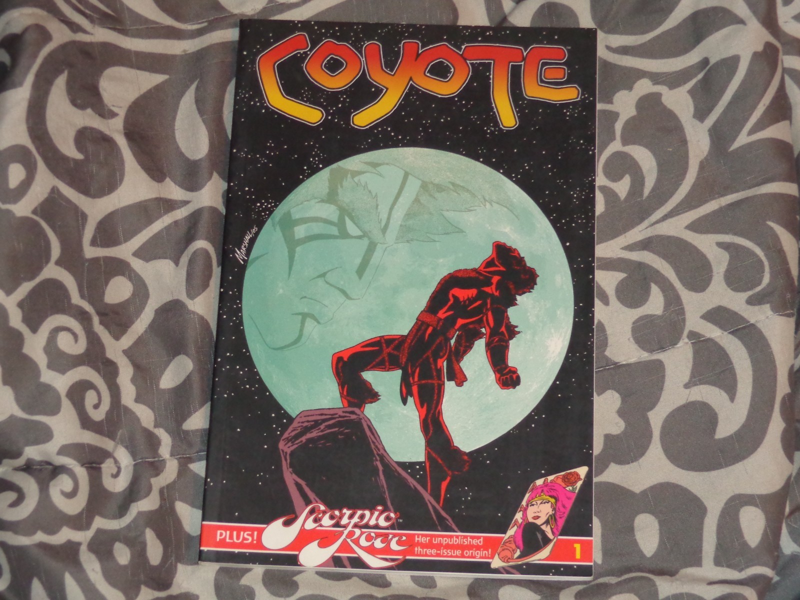 Coyote Collection Vol. 1 -  Image Comics - 2005