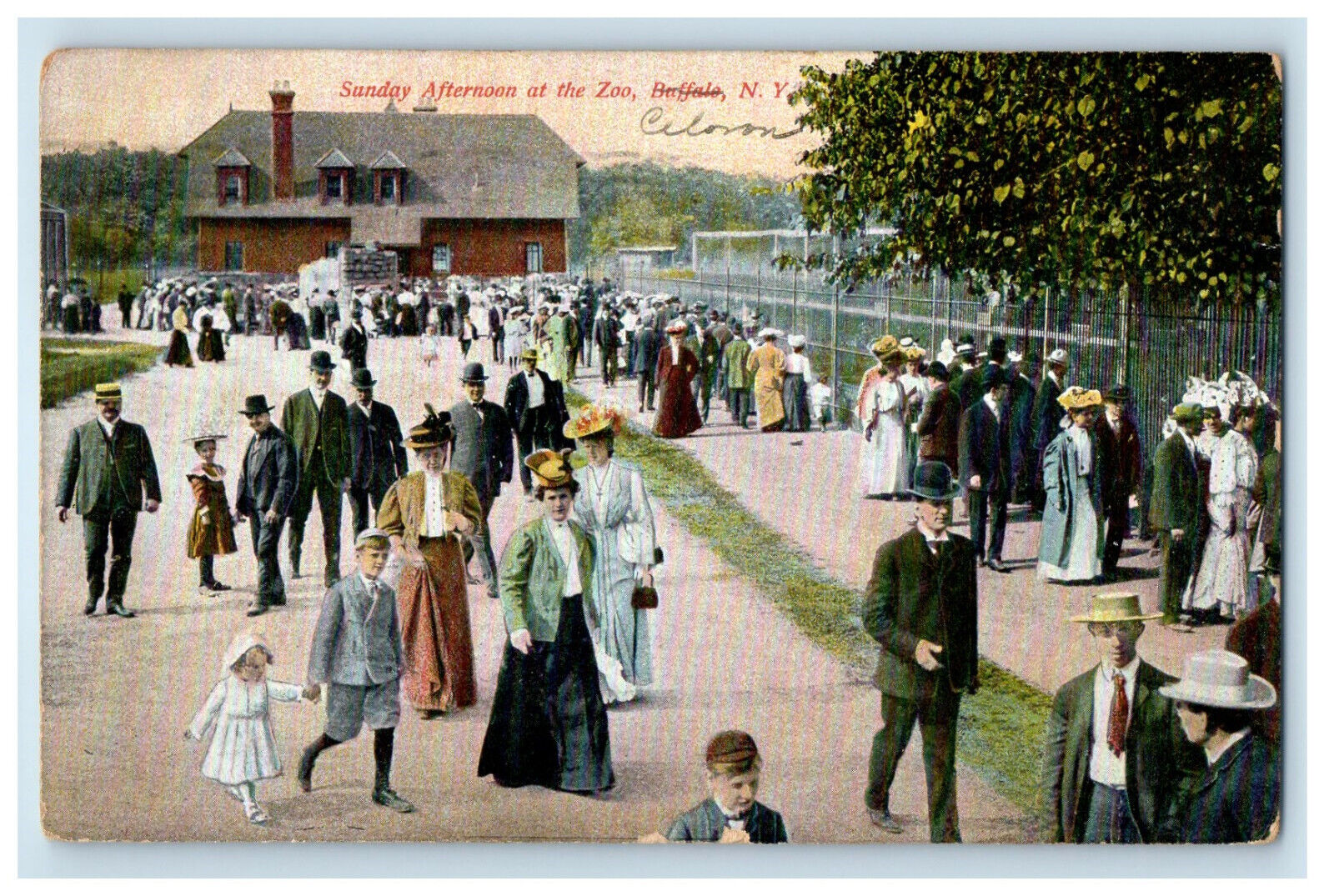 1909 Sunday Afternoon at The Zoo, Buffalo New York NY Posted Postcard
