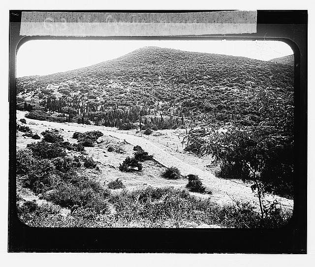 Photo:Via Egnatia Greece Road Mountain Landscape 1900s