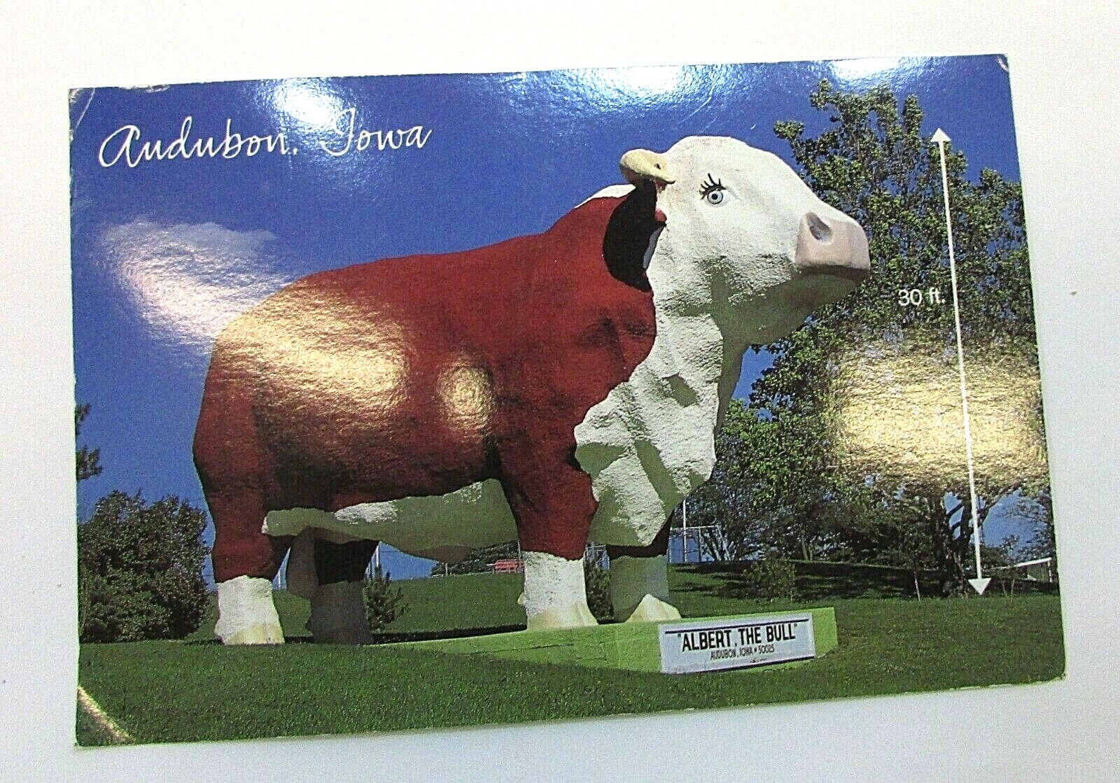 Vintage 1980's Audubon IA  Albert The Bull Unused Lawson Mardon Postcard