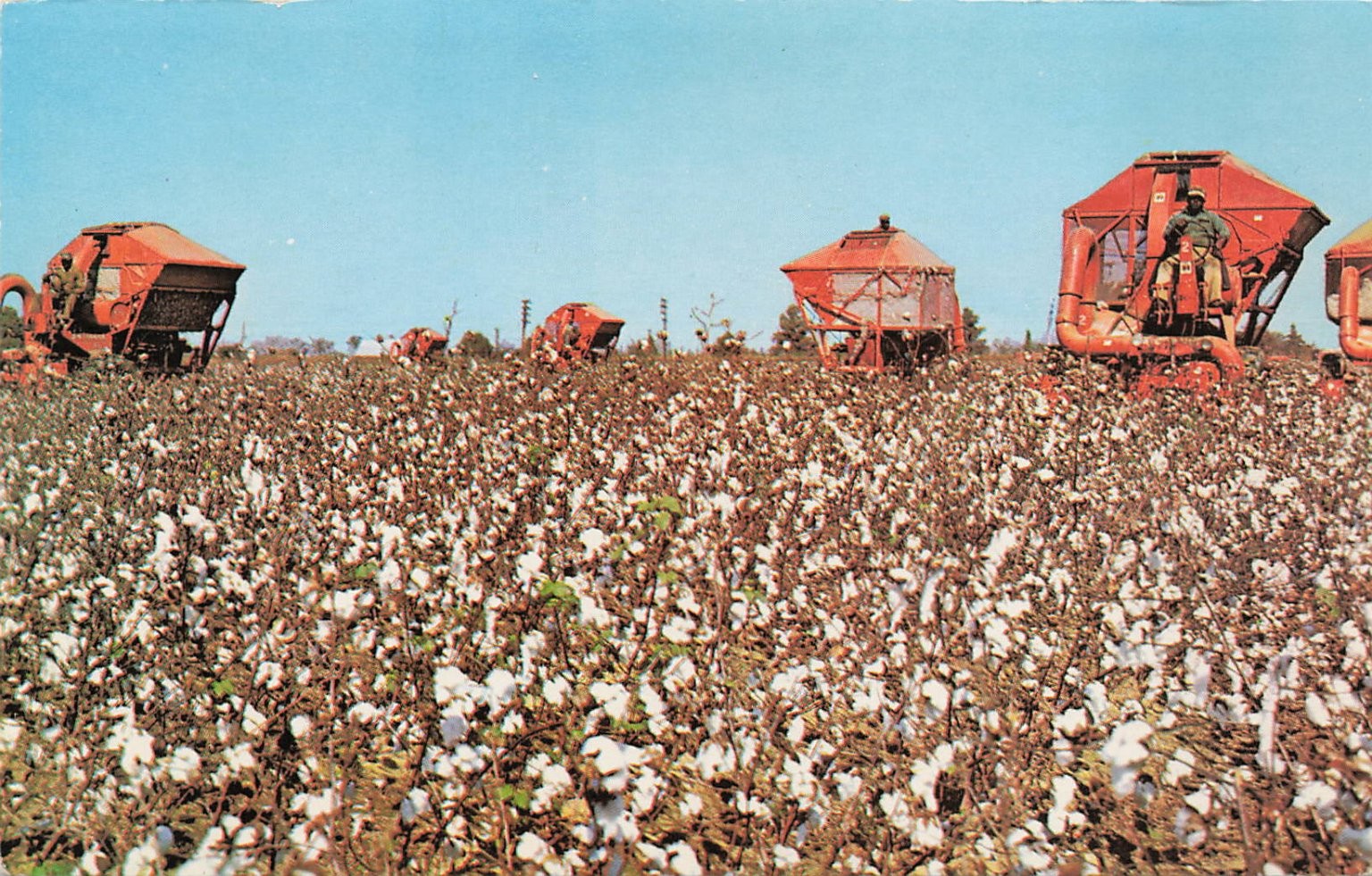 Arkansas Cotton Picking Modern Machines Siebert News Agency Chrome Postcard Arkansas Cotton Picking Modern Machines Siebert News Agency Chrome Postcard