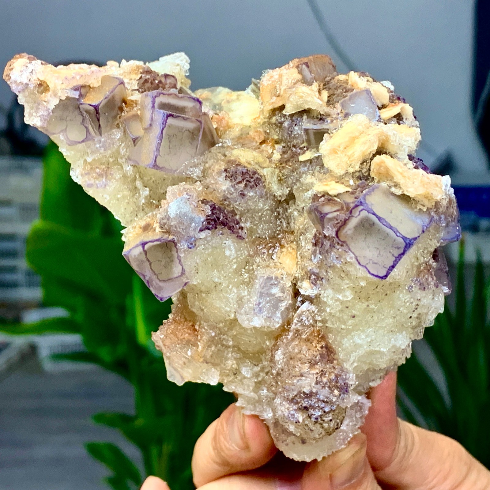 1.21LB Natural purple green cubic fluorite mineral crystal sample/China