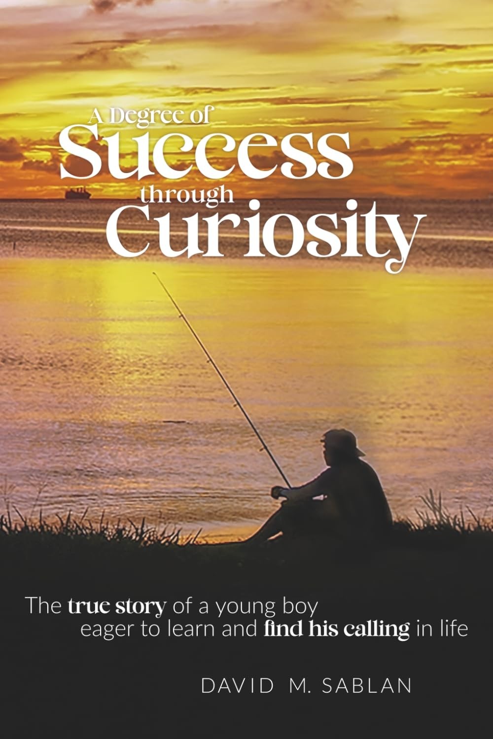 A Degree of Success through Curiosity: The true story of a young boy eager to le