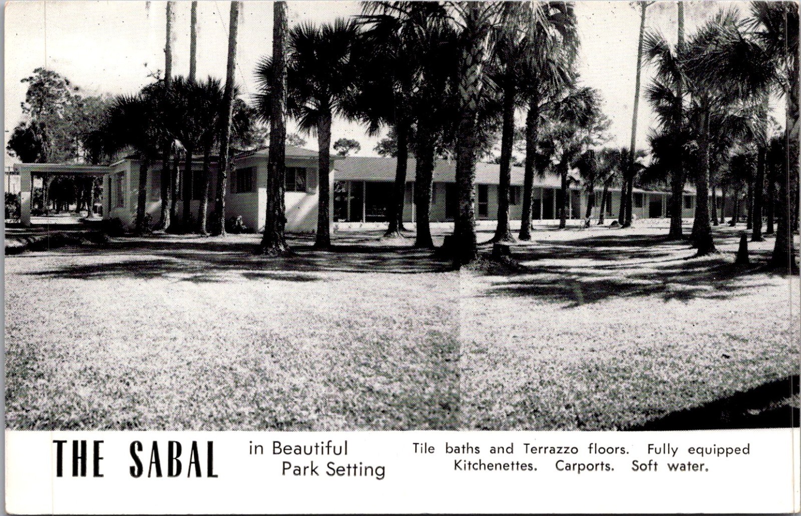 The Sabal Park Setting Tile Baths AL Crow Fort Myers FL Vintage Postcard 4P16-18