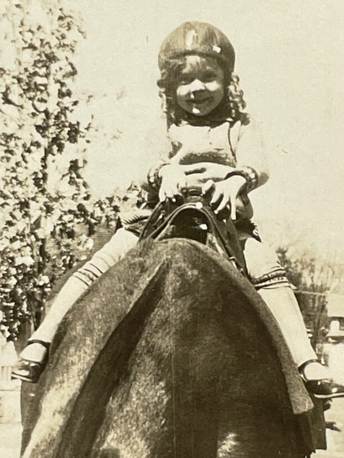 ZJ Photo 1927 Girl On Horse Horseback With Update On Back From 1984 Had 10 Kids