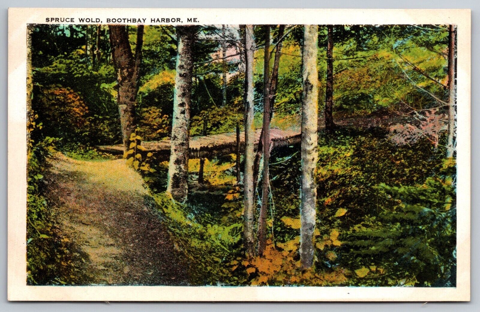Spruce Wold. Boothbay Harbor, Maine. Vintage Postcard