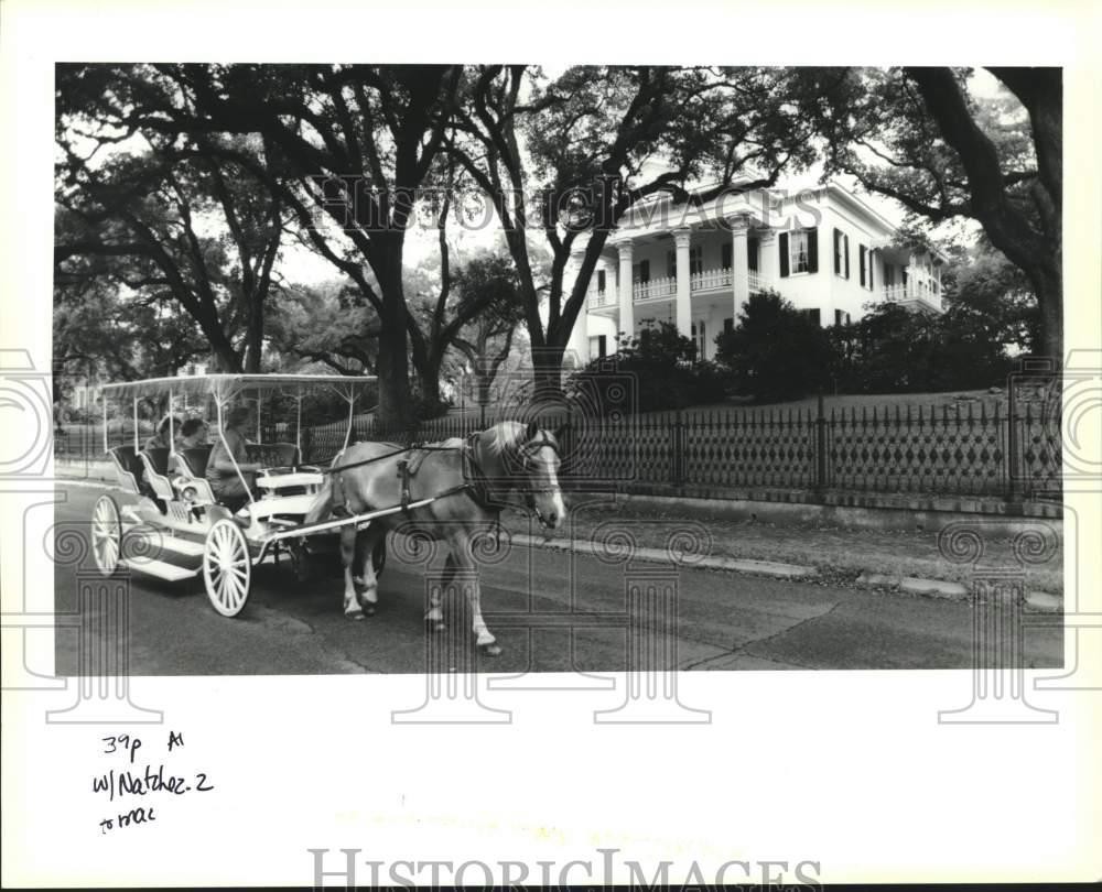1994 Press Photo Tourists buggy past historic Stanton Hall in downtown Natchez