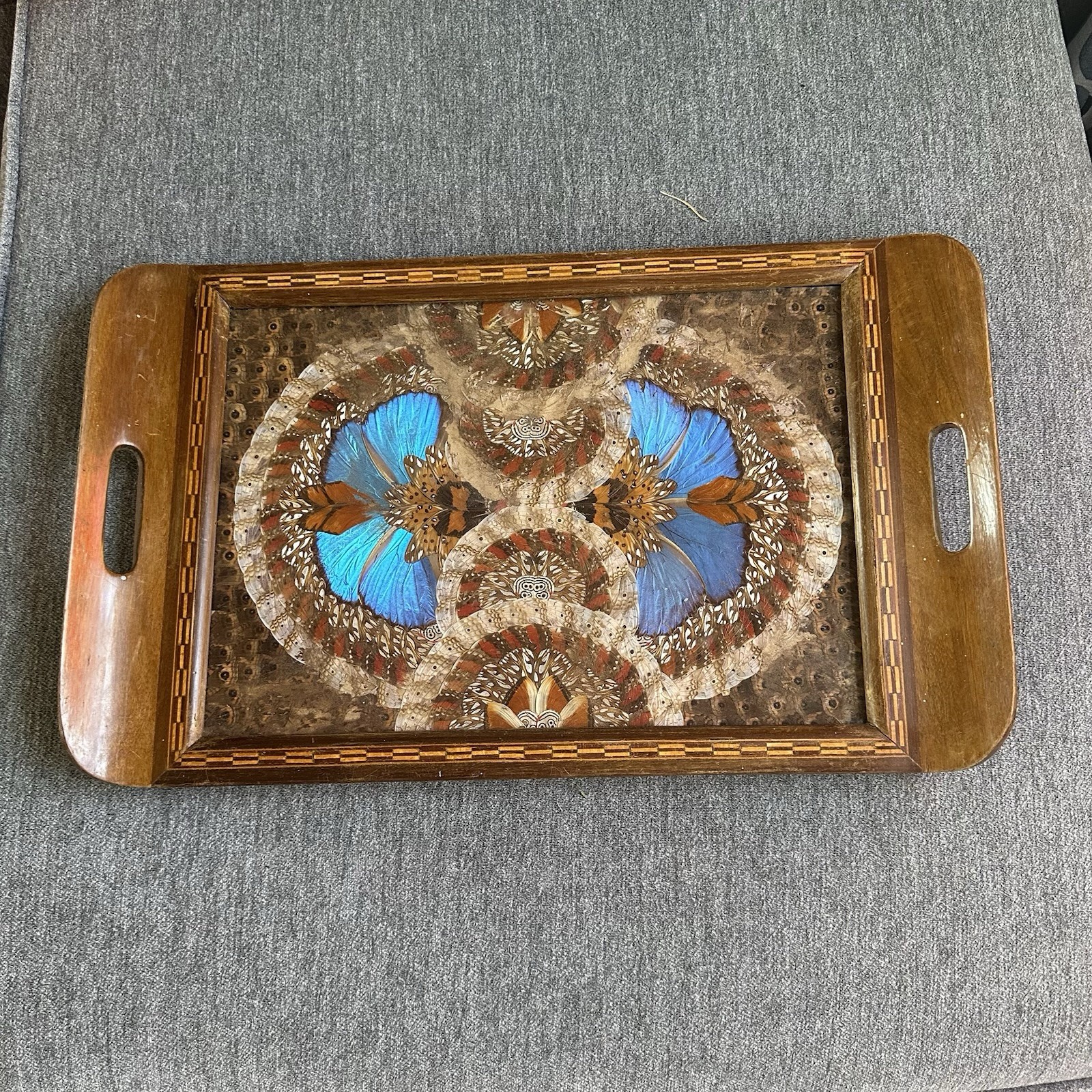 Vintage Brazilian Morpho Butterfly Wing Inlaid Wood Tray 18”x 11” x 1\