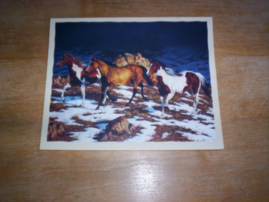 16 Wild Horse Horses  Blank Note Cards  APPROACHING STORM by Chris Cummings  NIB