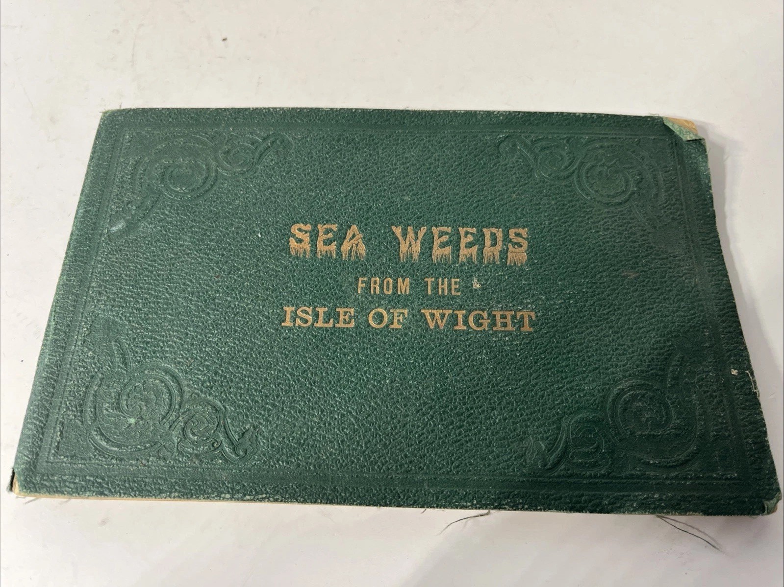 Antique Victorian Sea Weeds Specimen Album Herbarium Book Collection