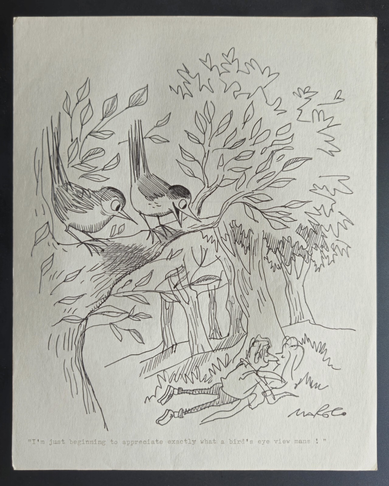 Original Illustration Art British Cartoonist Robert Coram Naughty Birds Eye View