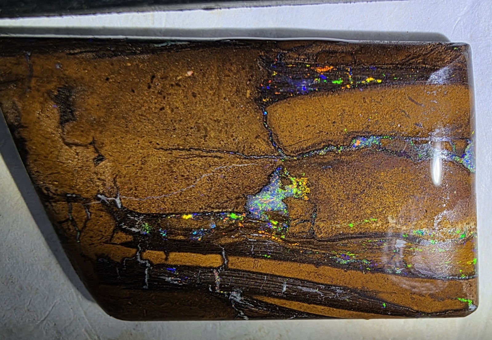 Australian Boulder opal Cab Flashy Fire All Over Wood Fossil  See  Video