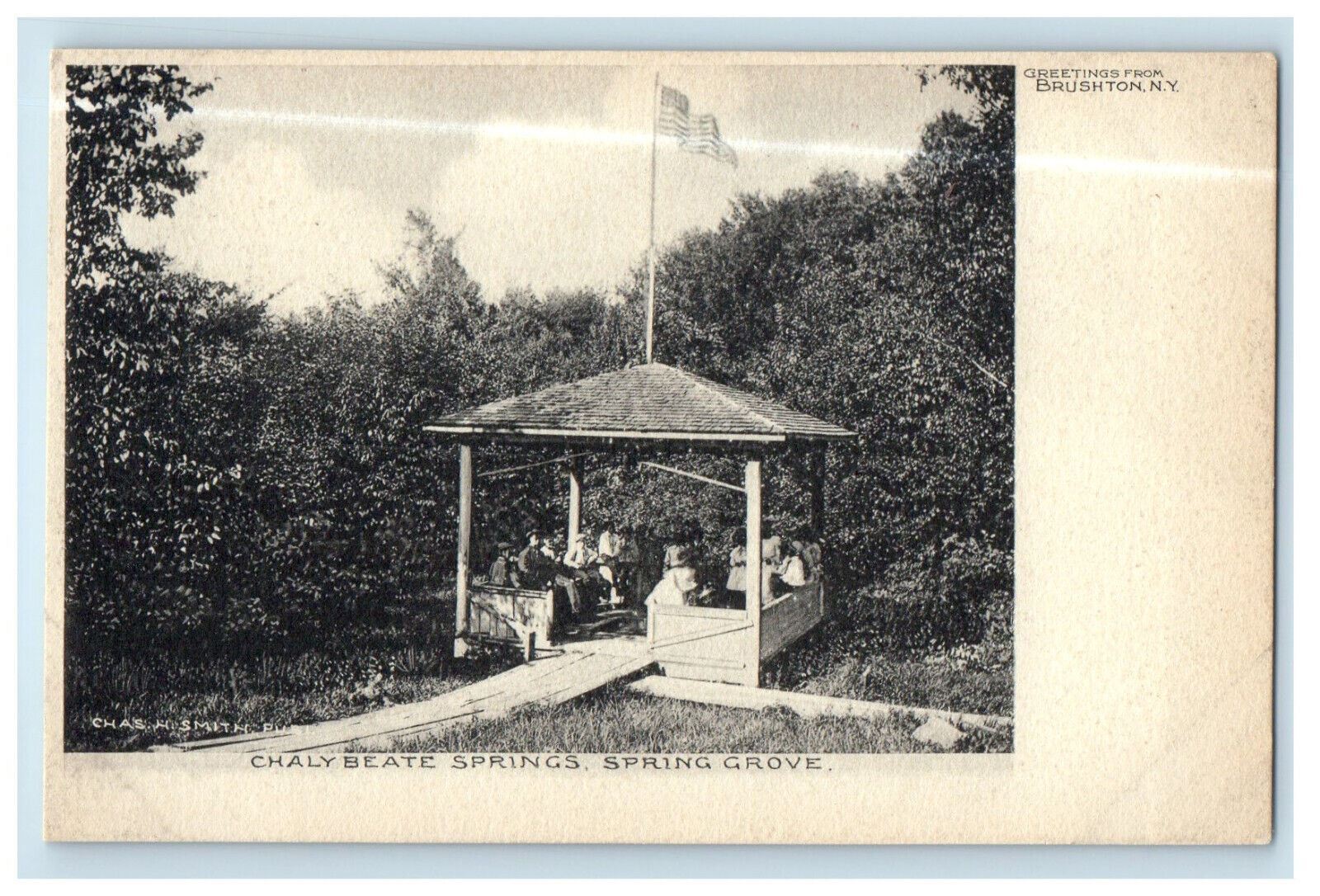 c1905 Chalybeate Springs Spring Grove Greetings from Brushton NY Postcard