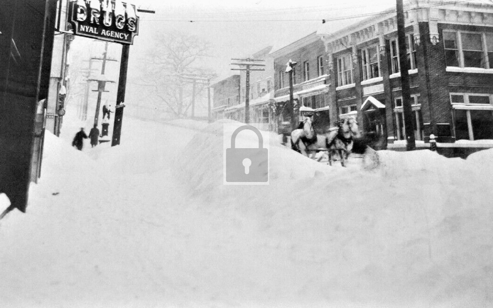 Oak Street View Drug Store Hood River Oregon OR - Reprint