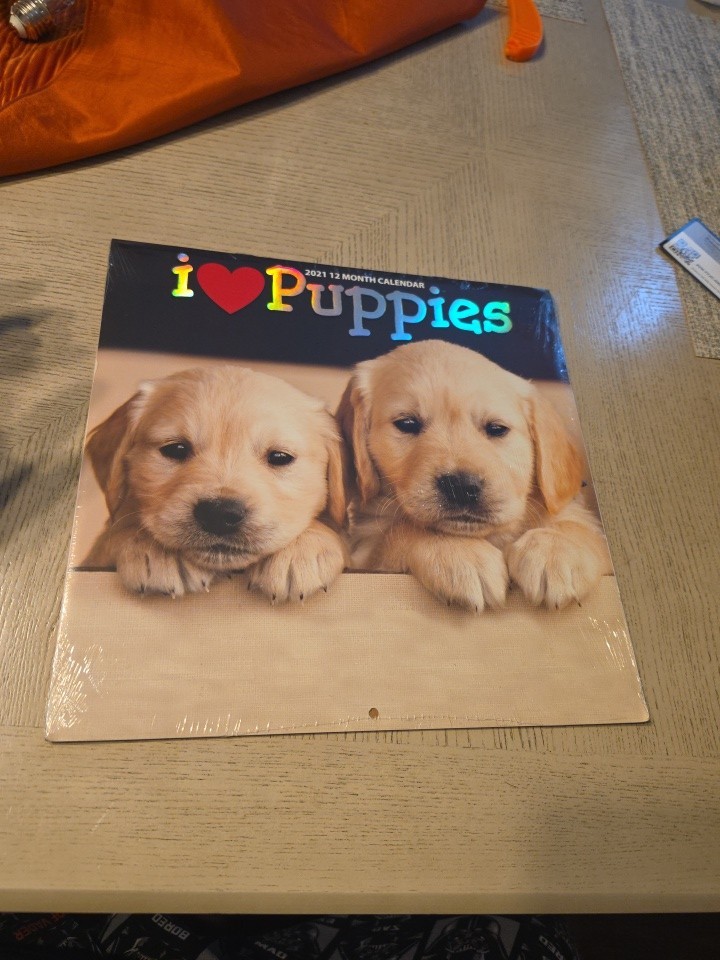 I Love PUPPIES 2021 Wall Calendar Super Cute Dog Arts 
