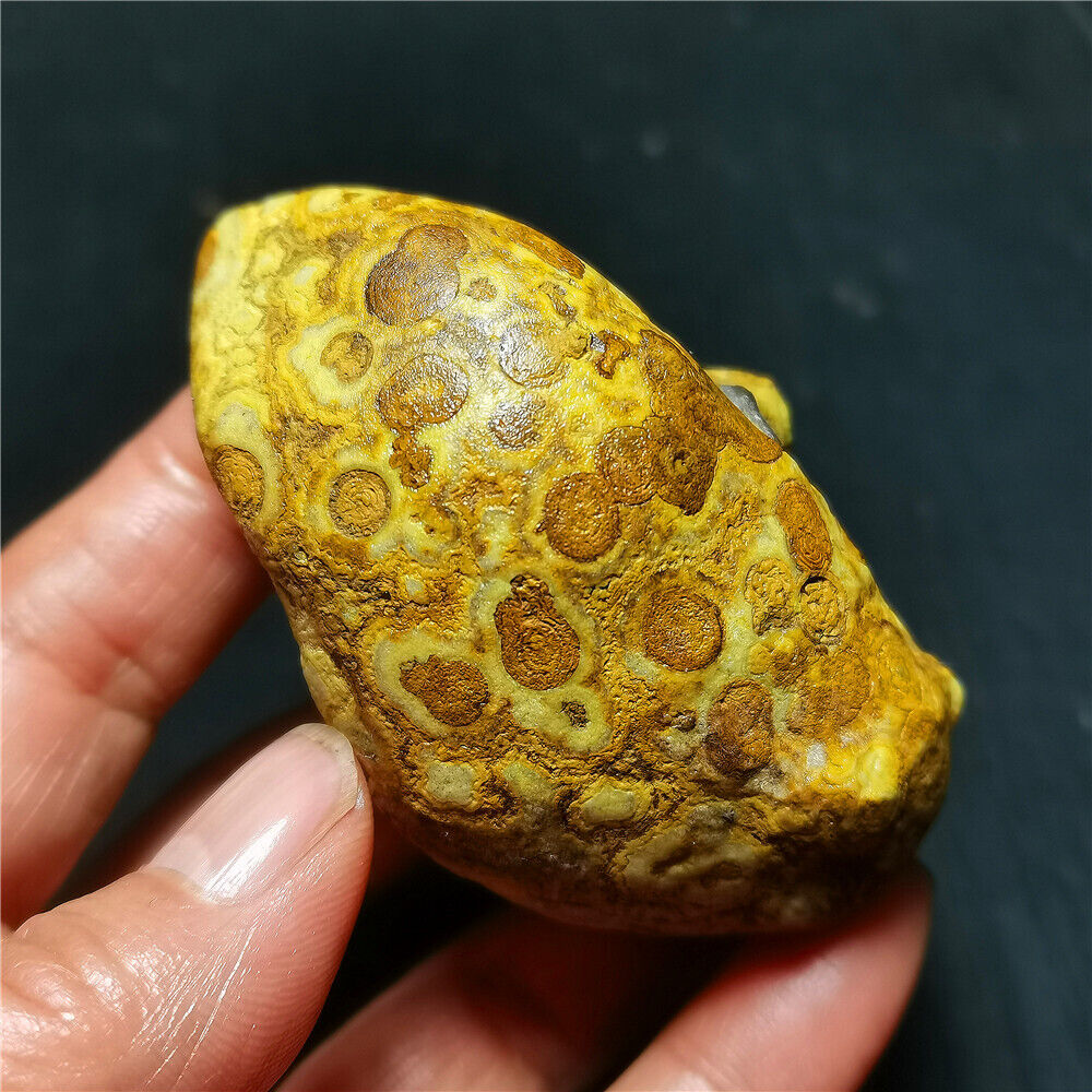 Rare 127G China Natural Inner Mongolia Gobi Eye Agate Geode Collection  WYY2121