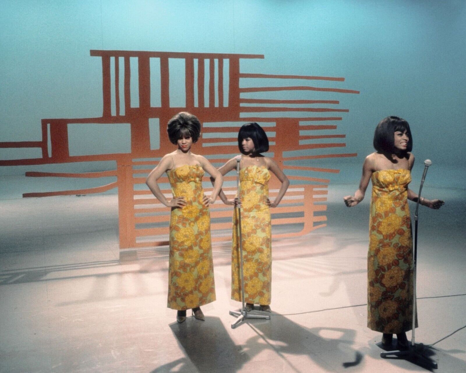 THE SUPREMES Diana Ross Mary Wilson 8x10 Photo 199