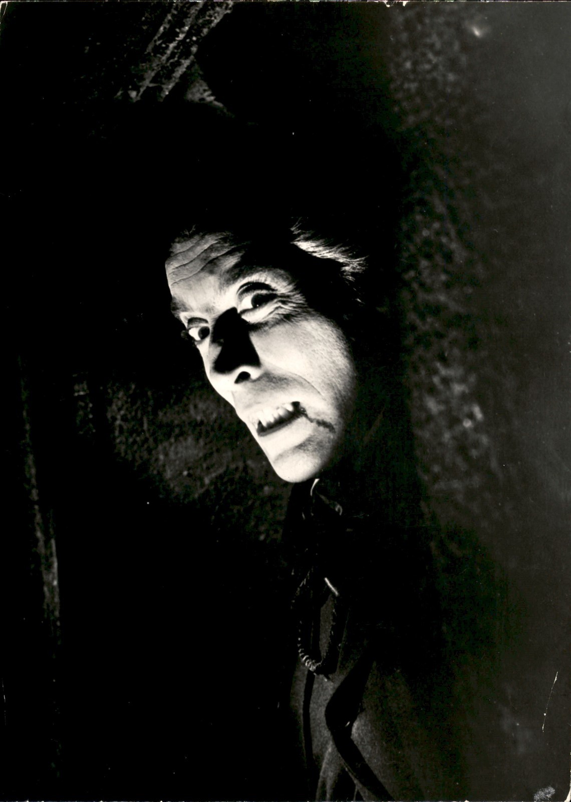 LD419 Original Photo CHRISTOPHER LEE 1958 \