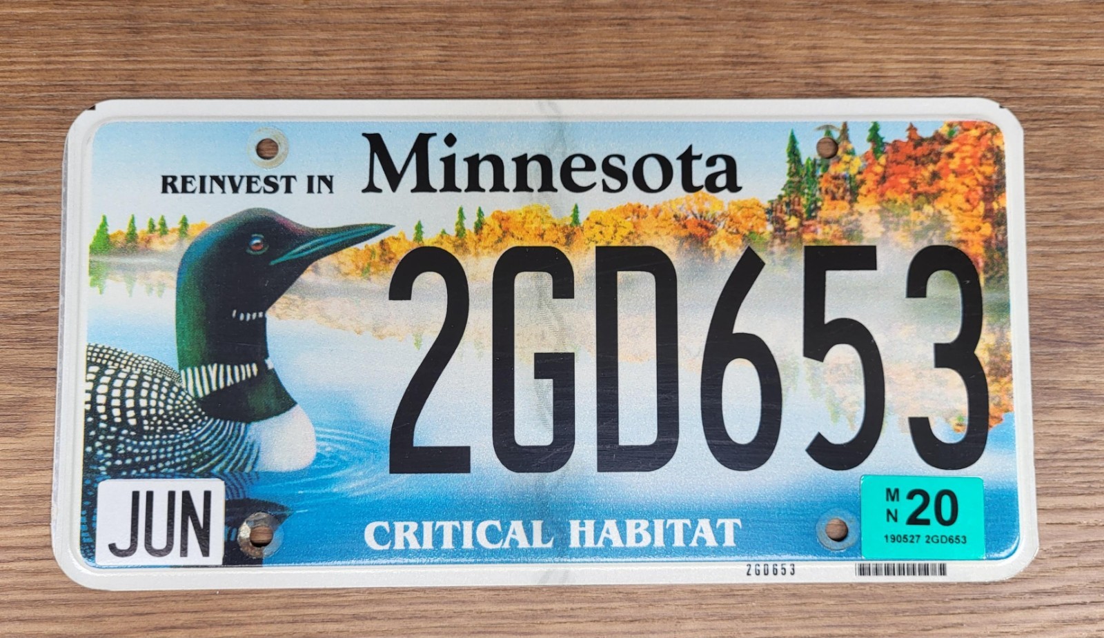 2020 Minnesota Critical Habitat LOON License Plate Tag  #2GD653   Wildlife