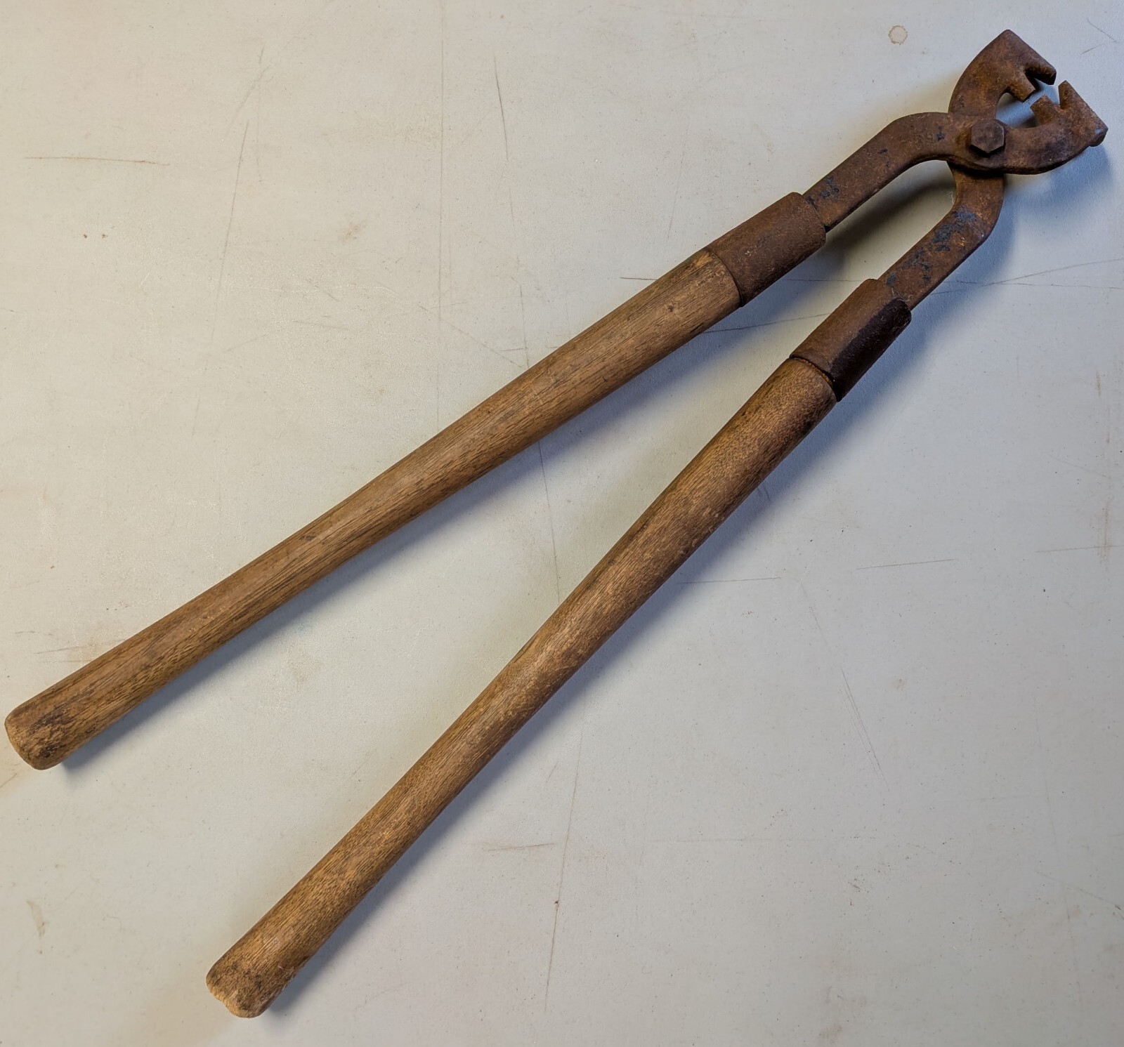 Antique Cattle Dehorner Farm Tool Cast Iron Chicopee Falls Mass Steampunk Decor Antique Cattle Dehorner Farm Tool Cast Iron Chicopee Falls Mass Steampunk Decor