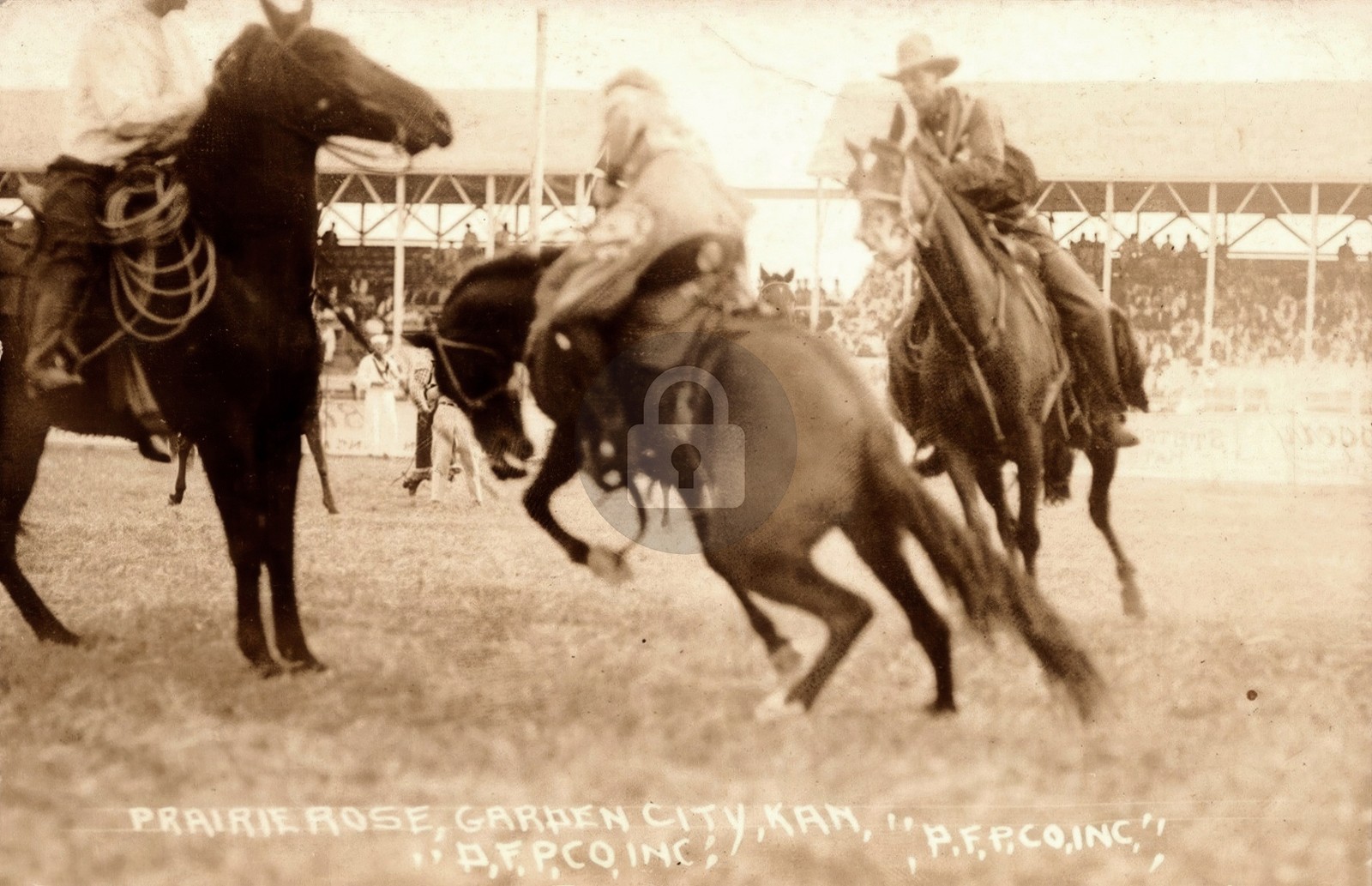 Garden City Kansas Prairie Rose Cowgirl Rodeo RPPC Photo Postcard COPY