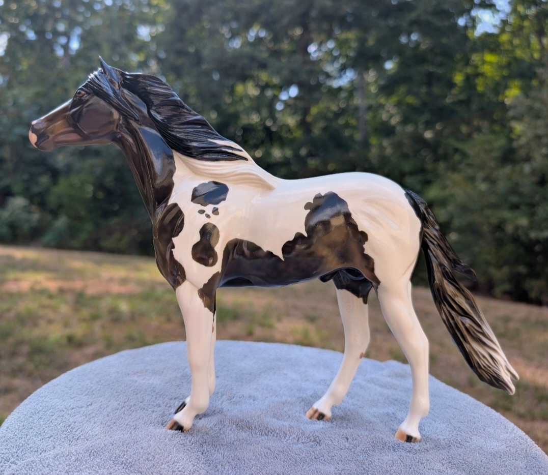 Peter Stone Glossy Mustang \