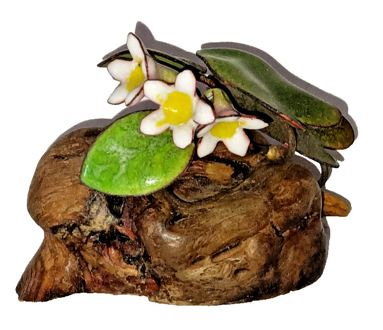 Vtg Norman Brumm Folk Art Enamel Jasmine? Flowers & Leaves Sculpture Burl Wood