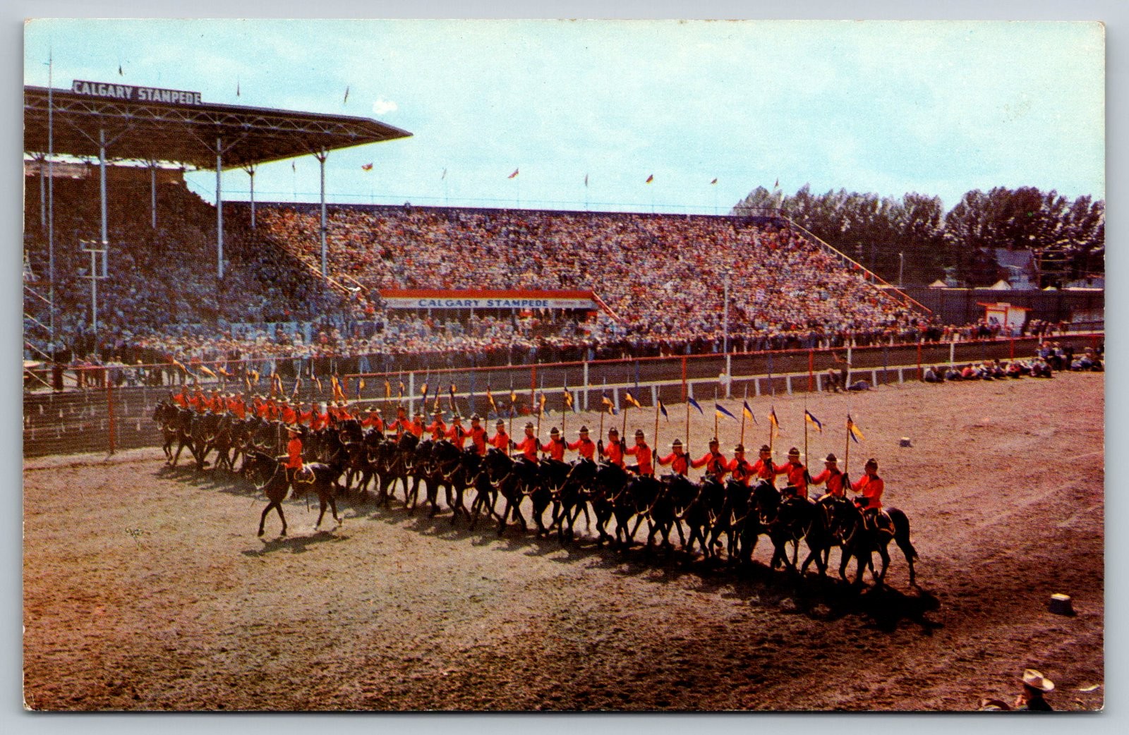 Vintage Postcard Calgary AB R.C.M.P. Musical Ride at Stampede