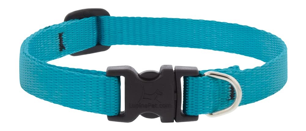 Lupine Small Dog Collar 1/2\