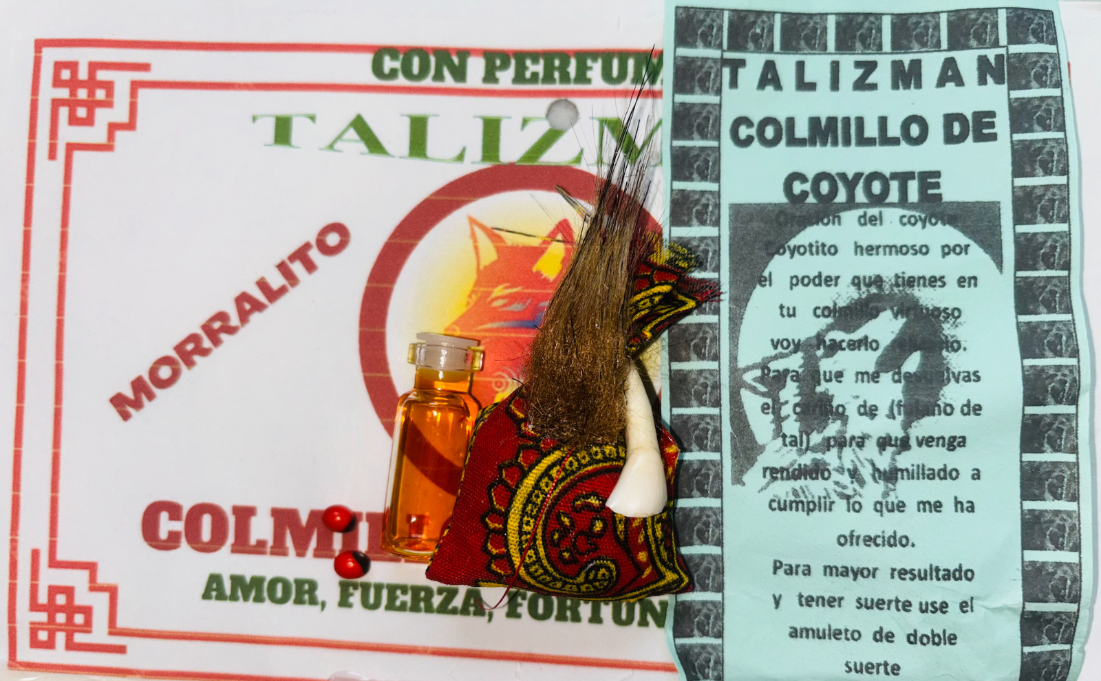 COLMILLO DE COYOTE Amuleto Talisman para Eliminar obstaculos y romper brujeria
