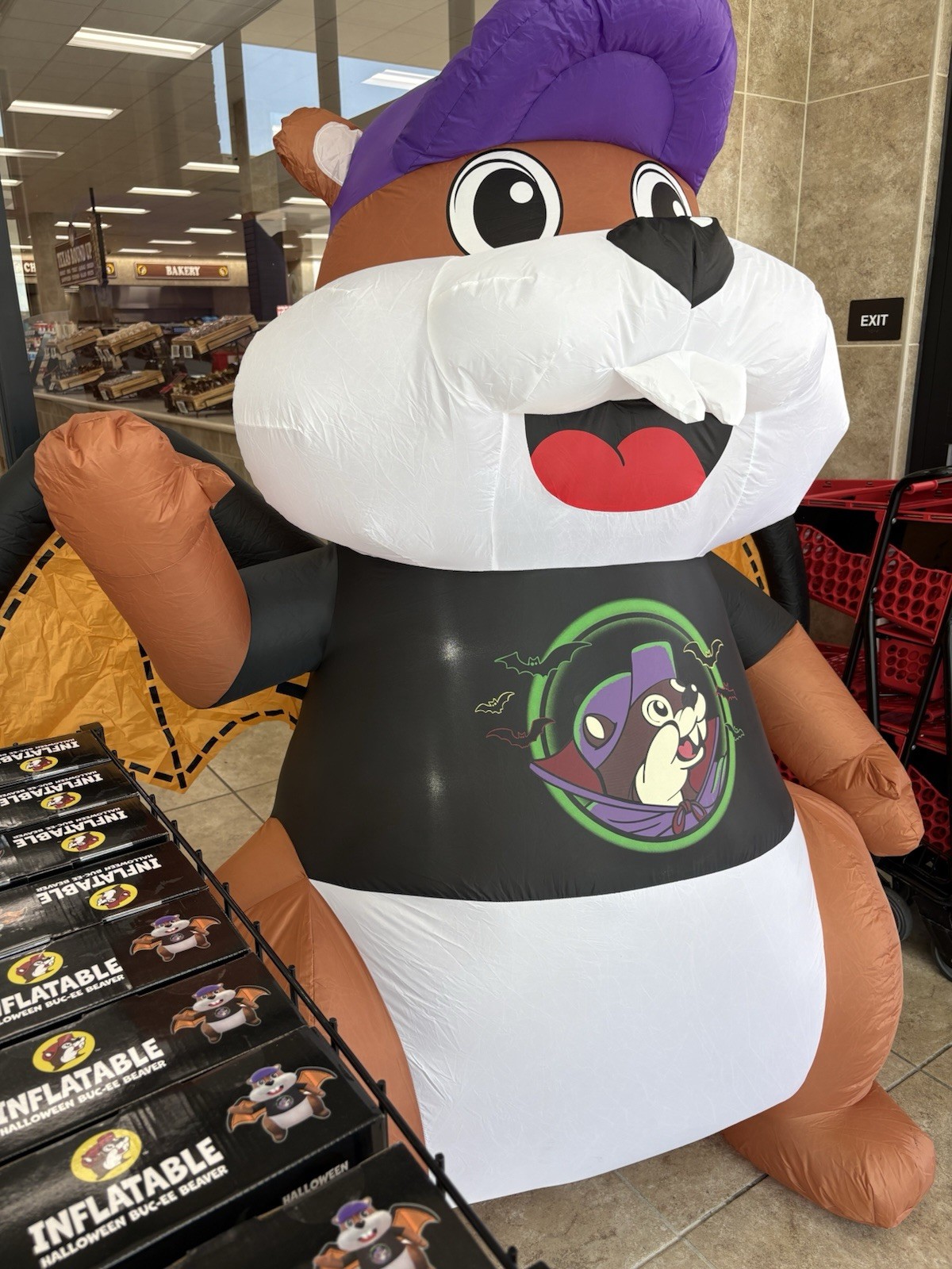 Buc-ee's Halloween Bat Beaver Mascot 6' Ft Inflatable Halloween Lighted NEW NIB Buc-ee's Halloween Bat Beaver Mascot 6' Ft Inflatable Halloween Lighted NEW NIB