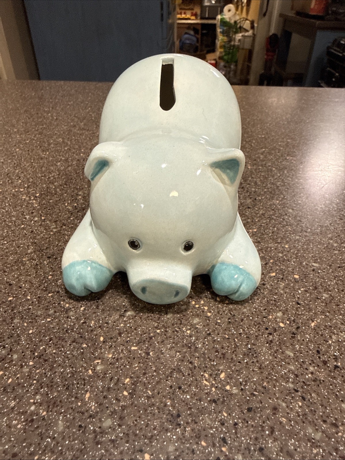 Ceramic Piggy Bank