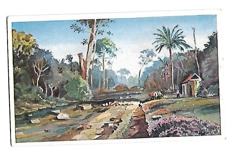 1934 Stollwerck Chocolate Card ~ No. 84, Central American Coast of the Pacific 