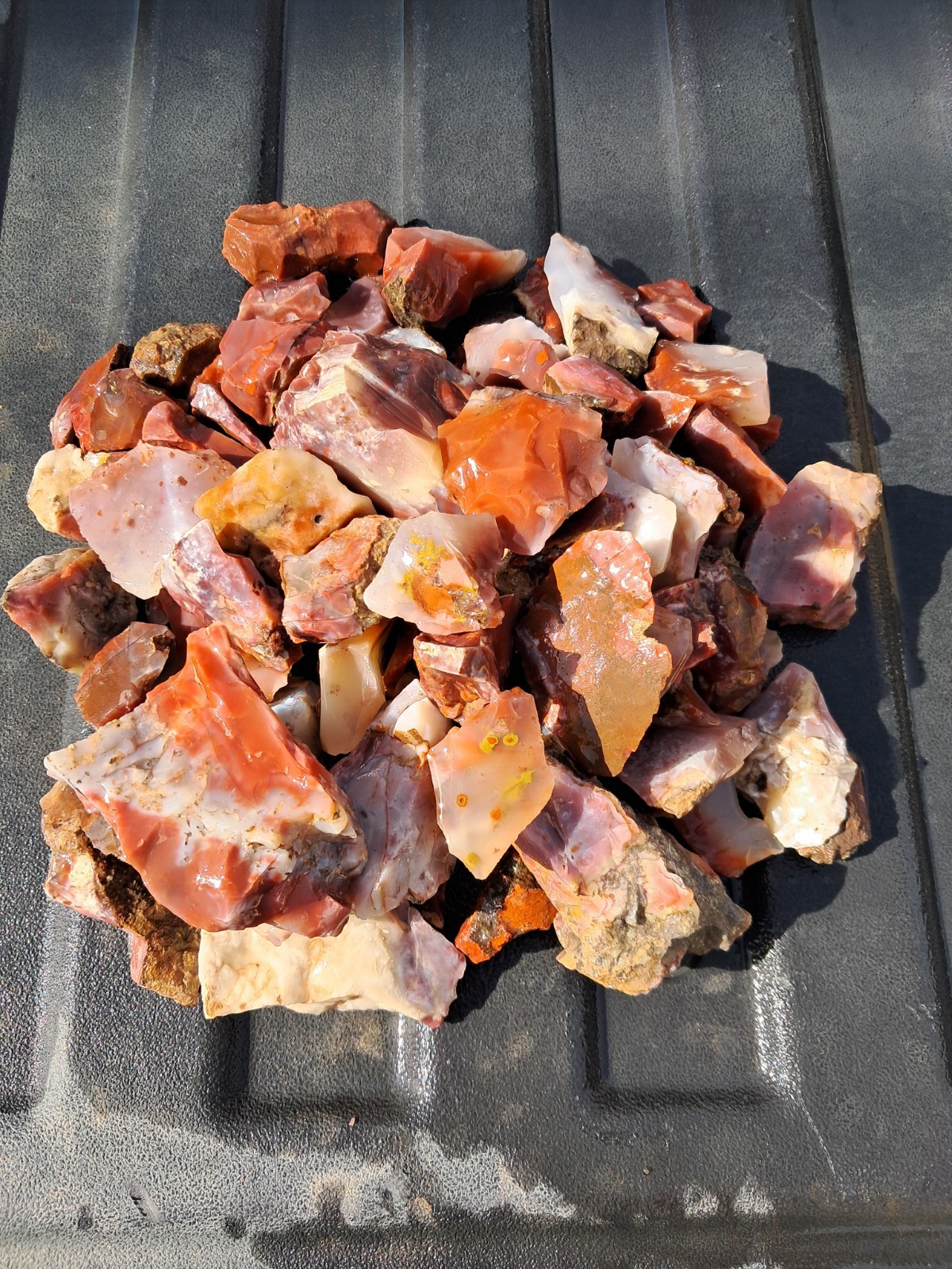 Pigeon Blood Agate 8+ Lbs. Rough Lot 