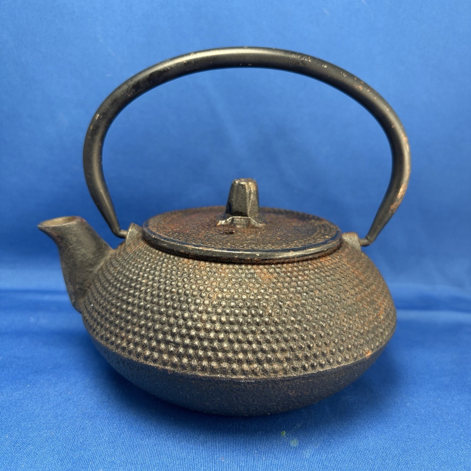 Large Teapot Nanbu Tekki Black Tetsubin Dot Cast Iron Signed Vintage Japan n06