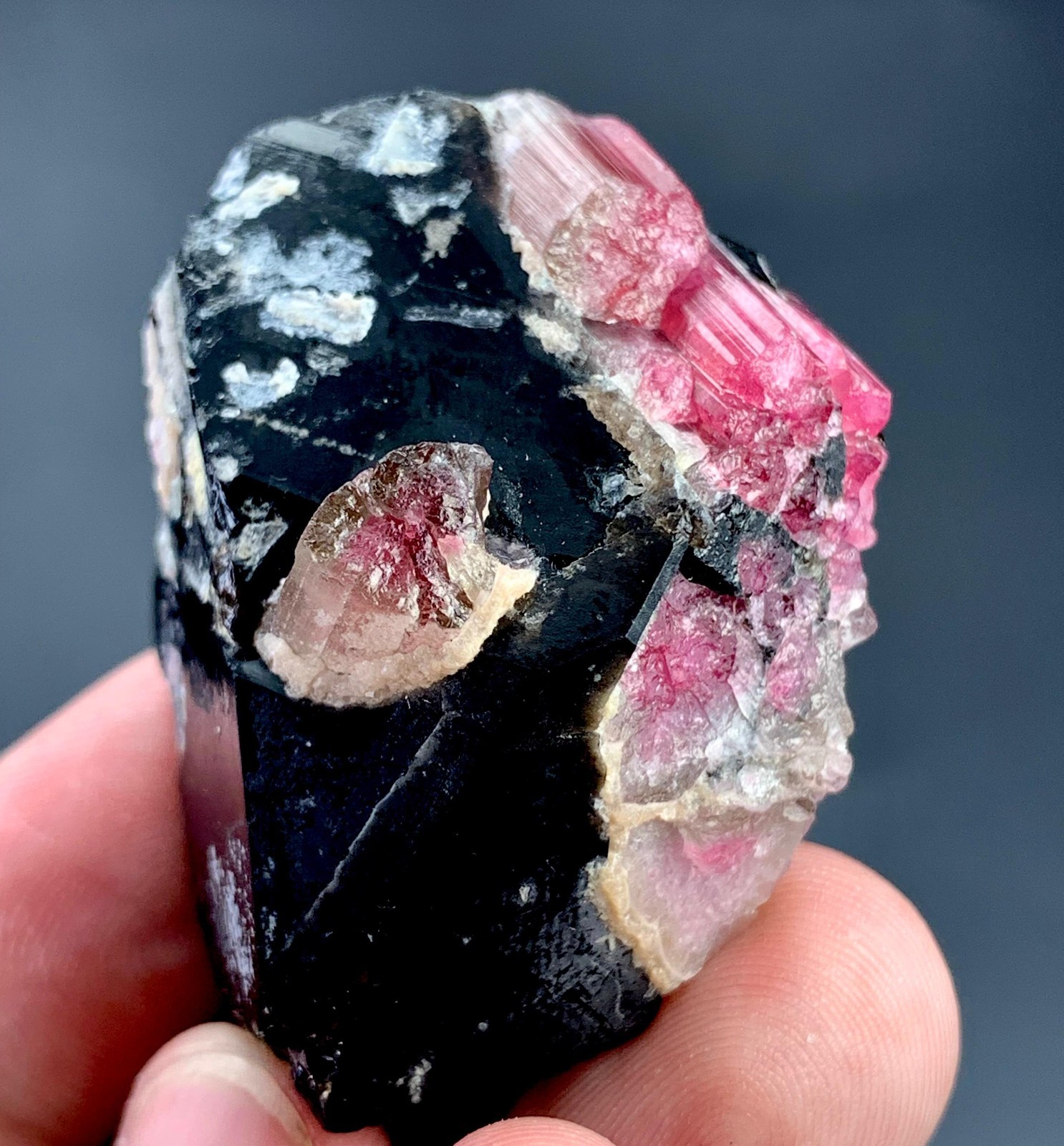 219 Carat Pink Tourmaline Crystal Specimen With Smoky Quartz From Afghanistan