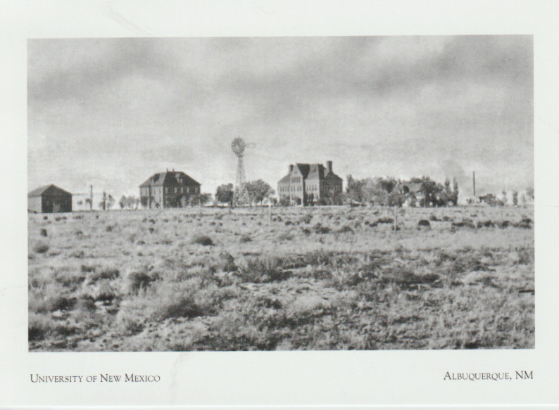 *NM Postcard-\