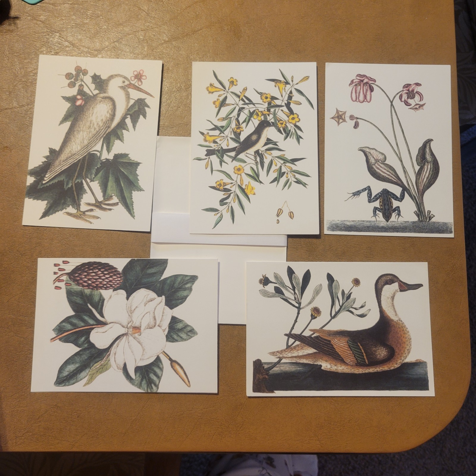 Colonial Williamsburg Foundation 5 Greeting Note Cards Blank 7\