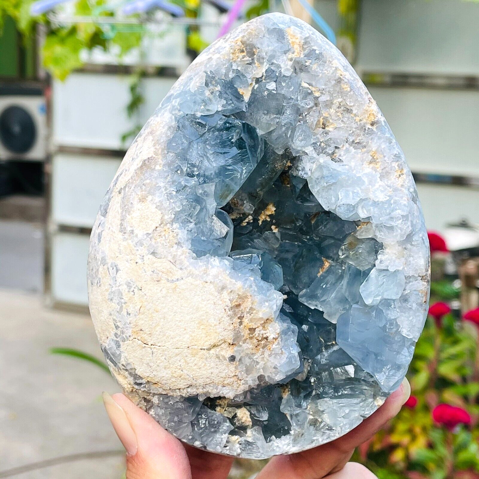 3.25lb Large Natural Blue Celestite Quartz Crystal Egg Geode Specimen Healing