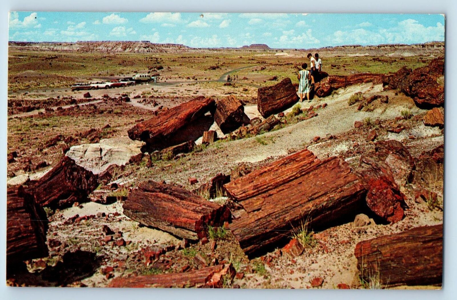 c1950's Scene Tourists Cars Petrified Forest National Monument Arizona Postcard