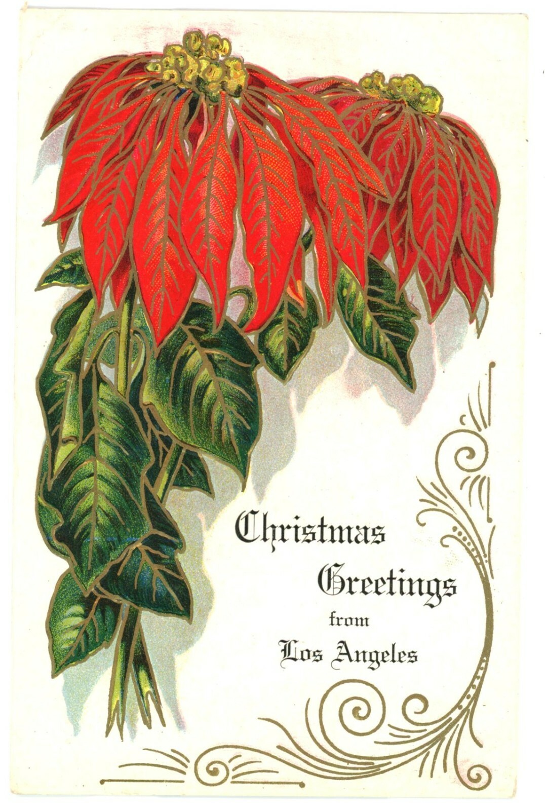 Los Angeles CA Poinsettia Christmas Greetings Embossed Postcard 1913 Panama Expo